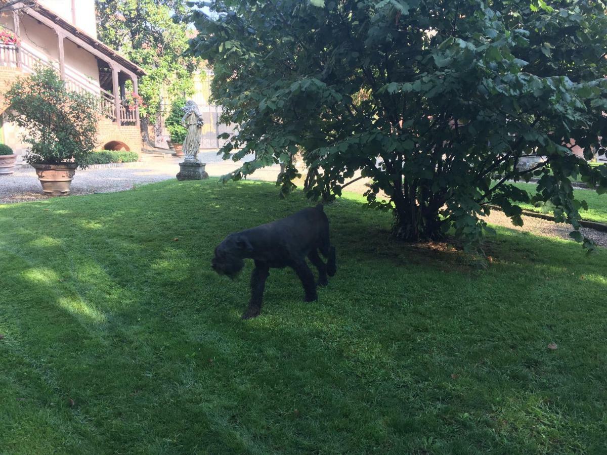 B&B San Martino Mede Екстериор снимка